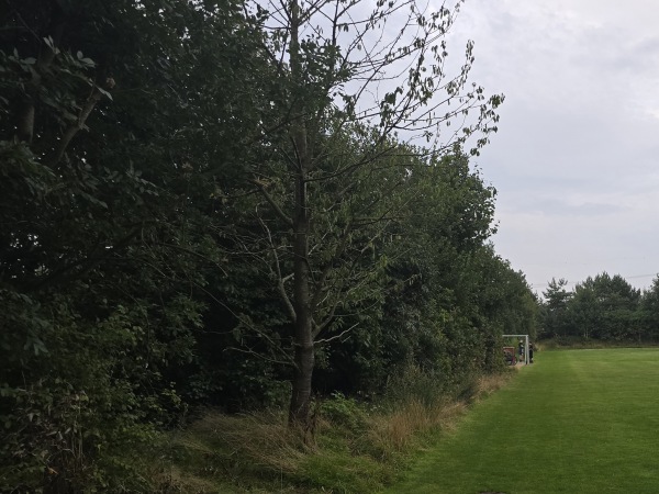 Sportanlage am Paschberg B-Platz - Agathenburg