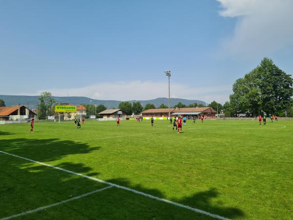 Sportplatz Wynenfeld - Buchs AG