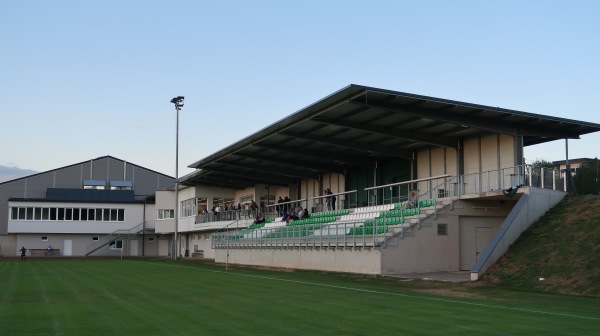 Sportzentrum Friedberg - Friedberg