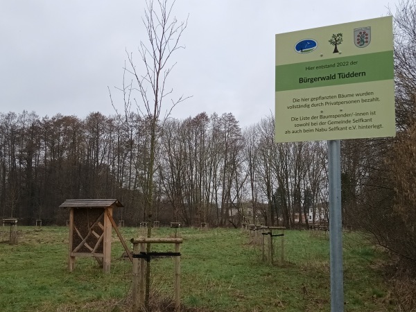 Sportanlage Messweg Platz 2 - Selfkant-Tüddern