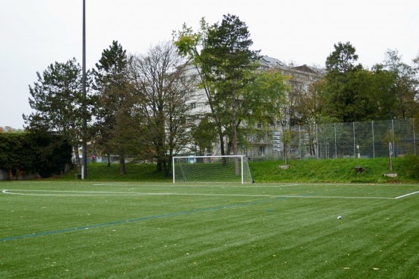 Stade de la Fontenette terrain C - Carouge GE