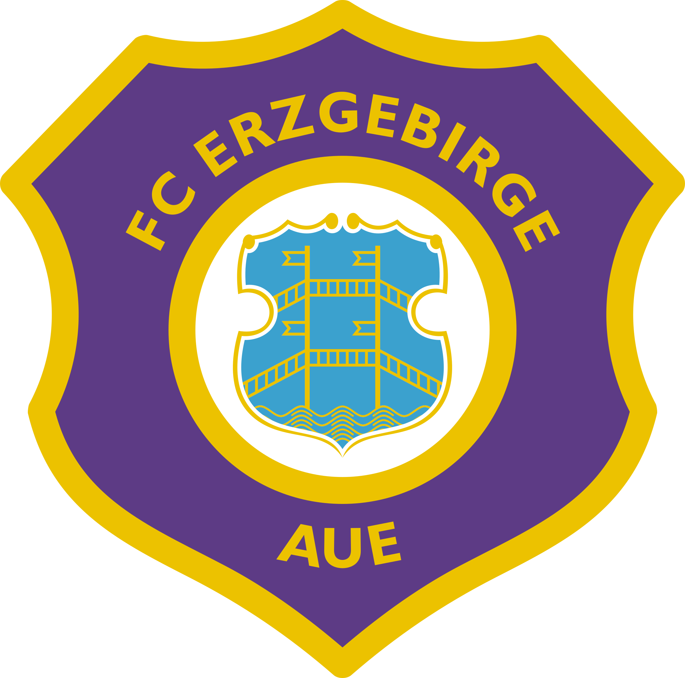 Wappen FC Erzgebirge Aue 1992 diverse