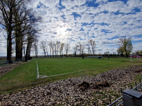 Stadionul Vinga - Vinga