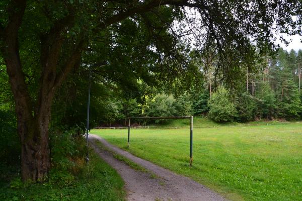 Sportplatz am Schützenhaus - Martinroda-Angelroda