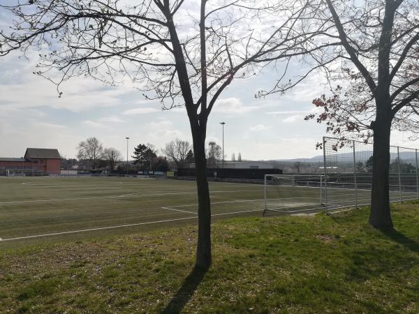 Dr.-Kausch-Stadion - Freinsheim