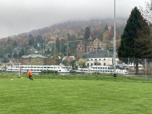MSV-Stadion Nebenplatz - Miltenberg