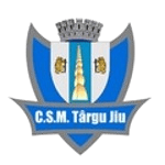 Wappen CSM Târgu Jiu