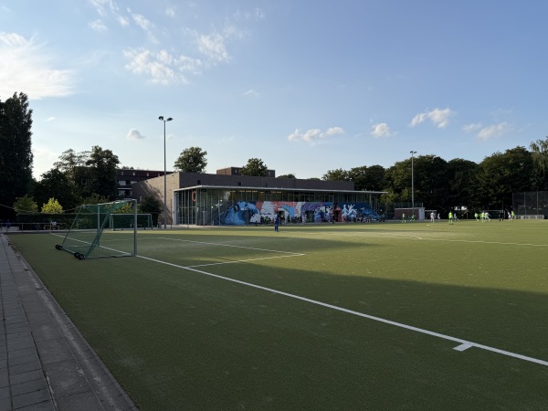 Sportplatz Meerweinstraße - Hamburg-Barmbek