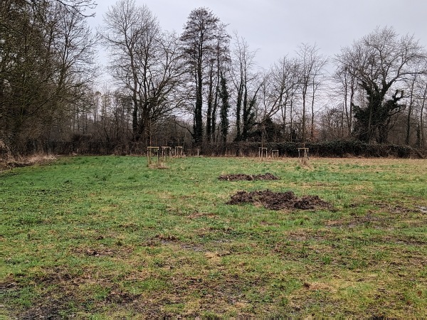 Sportanlage Messweg Platz 2 - Selfkant-Tüddern