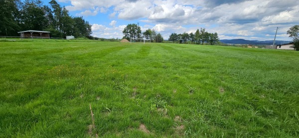 Sportplatz am Forsthaus - Montabaur-Elgendorf