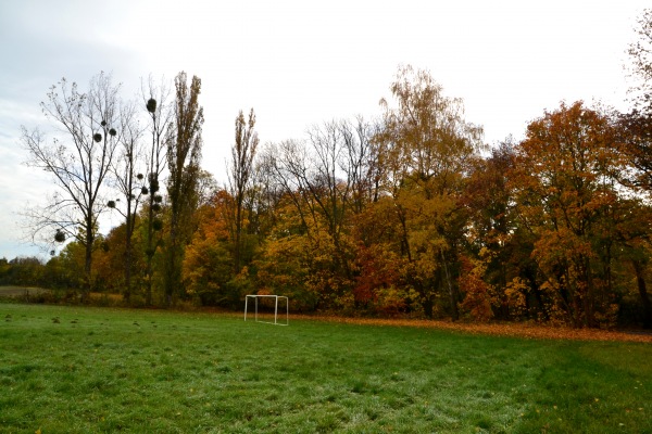 Sportplatz Sommerschenburg - Sommersdorf/Börde-Sommerschenburg