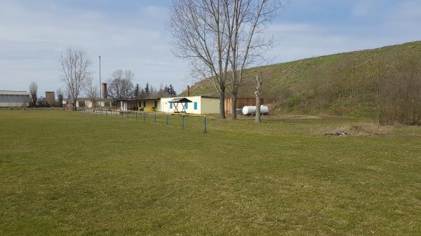 Stadion am Harz-Ring - Falkenstein/Harz-Reinstedt