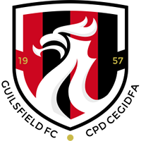 Wappen Guilsfield FC  3092