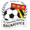 Wappen TJ Slezská Hořina Brumovice