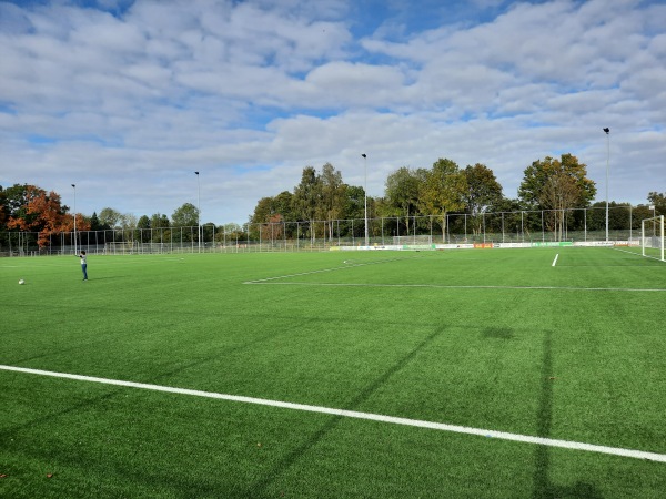 Sportpark De Langeleegte veld 2 - Veendam