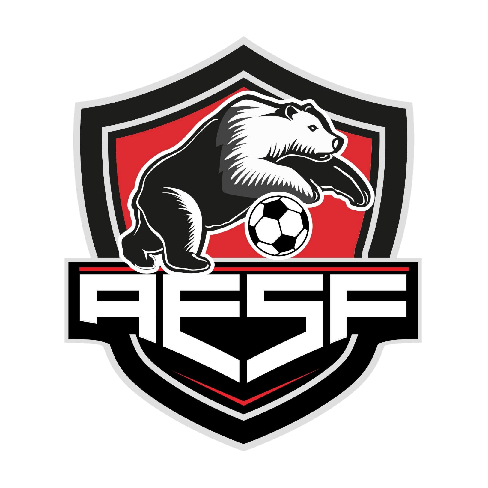 Wappen Andenne Evelette Sport Football diverse