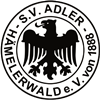 Wappen SV Adler 1888 Hämelerwald diverse  96961