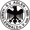 Wappen SV Adler 1888 Hämelerwald diverse