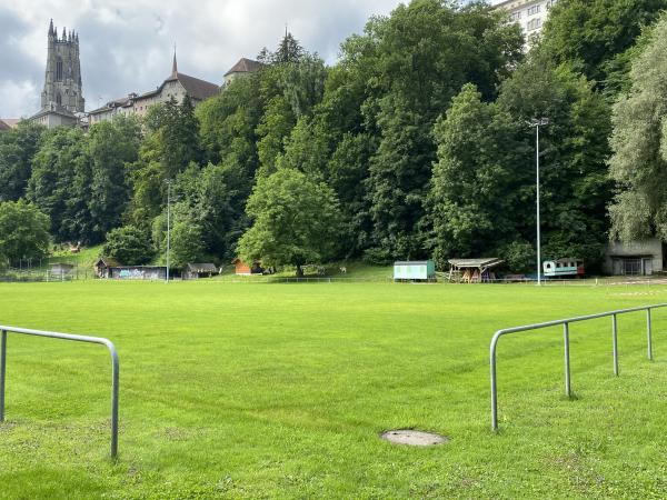 Terrain du Grabensaal - Fribourg