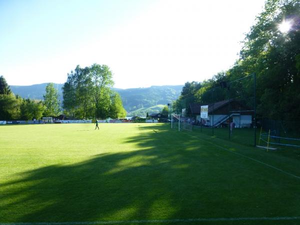 Irrseearena - Zell am Moos