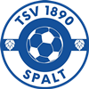 Wappen TSV Spalt 1890