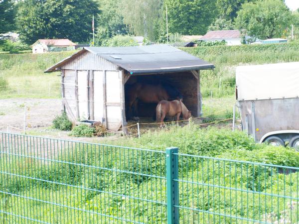 Sportplatz am Crengeldanz - Dortmund-Lütgendortmund