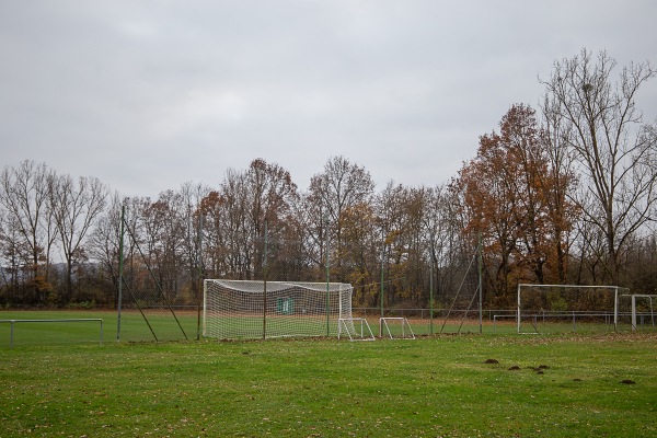 Sportanlage Am Sendelbach Sportfreunde-Platz - Bamberg-Gereuth