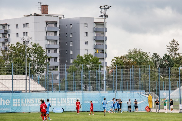 Trainingsgelände Grünwalder Straße Platz 5 - München-Giesing