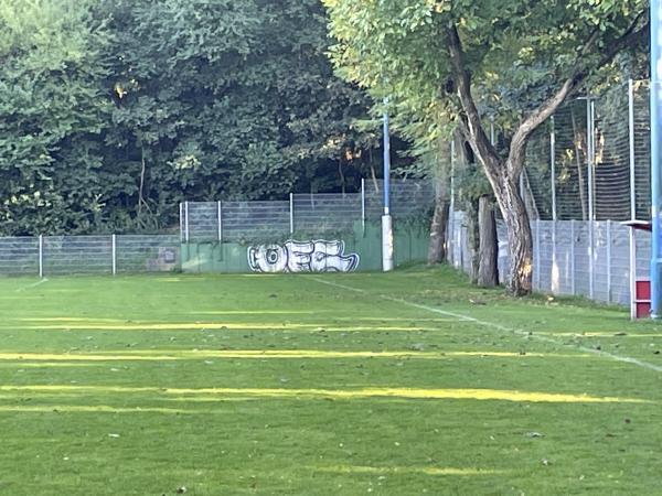 Sportanlage Bierbrauerweg Platz 3 - Offenbach/Main-Bieber