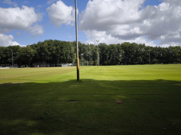 Sportpark De Wijchert veld 5 - Wijchen