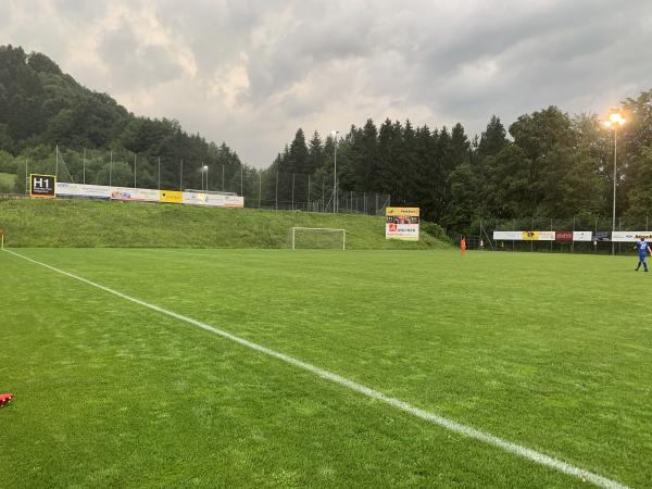 Sportplatz Löösch - Adligenswil