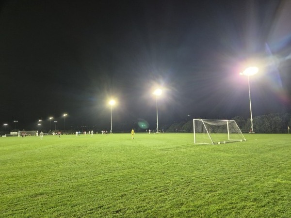Seddon Field 3 - Auckland