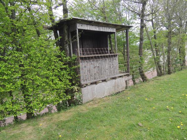 Sportplatz Wollmerschied - Lorch/Rhein-Wollmerschied