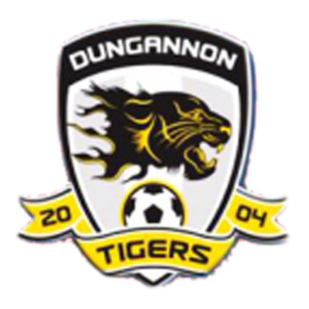 Wappen Dungannon Tigers  114926
