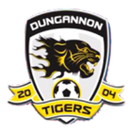 Wappen Dungannon Tigers