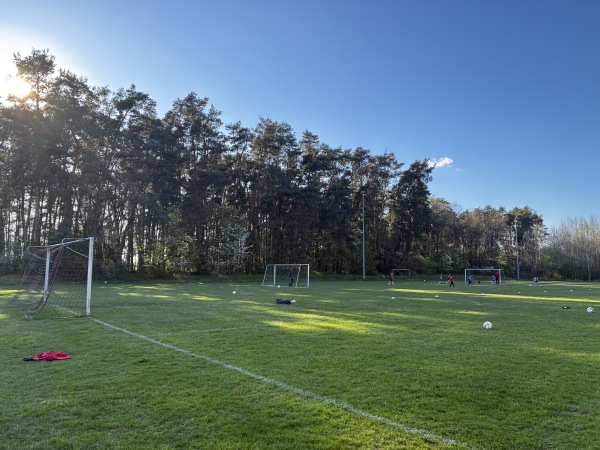 Sportgelände Ohausener Straße Platz 2 - Freystadt-Forchheim