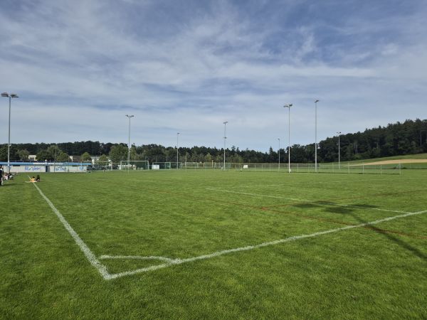 Sportanlage Unterwiesen Platz 2 - Aadorf