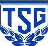 Wappen TSG Kaulsdorf 1990  27492