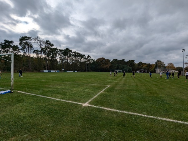 Waldsportplatz - Wust-Fischbeck