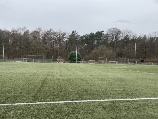 Sportpark De Pinkenberg veld 4-DVOV / Veluwezoom - Rozendaal