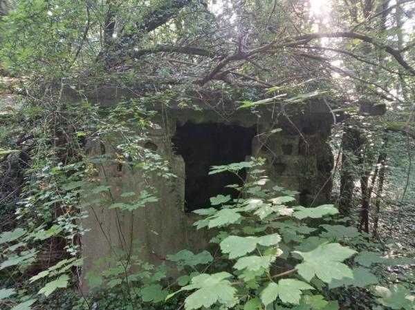 Sportplatz im Steinbruch - Mettmann-Neanderhöhe