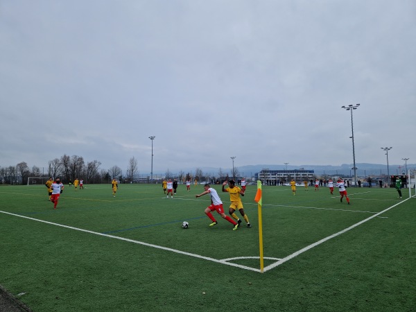 Sportanlage Griespark Platz 3 - Volketswil