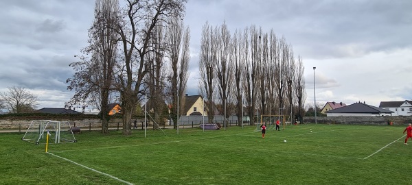 Sportplatz Biere - Bördeland-Biere