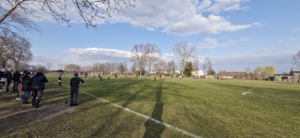Boisko w Borowie Wielkim - Borów Wielki