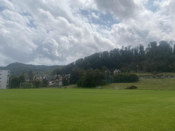 Sportanlage Buchlern Platz 3 - Zürich