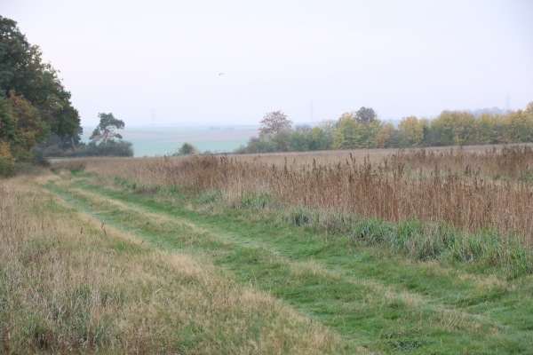 Sportplatz Auf der Heide - Nideggen-Wollersheim