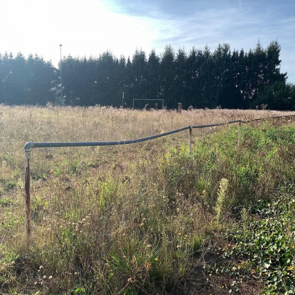 Waldstadion Nebenplatz - Argenthal
