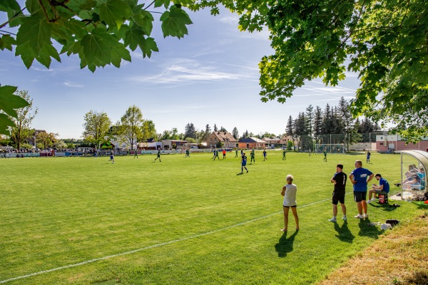 Auto-Müller-Arena - Schkeuditz-Glesien