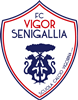Wappen FC Vigor Senigallia  82389