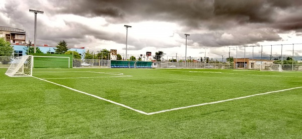 Stadioni Erosi Manjgaladze veli 2 - Samtredia